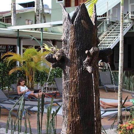 A Pousada Arenal Poshpacker La Fortuna Exterior foto